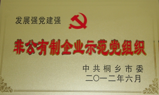 桐乡市发展强党建强非公企业示范党组织